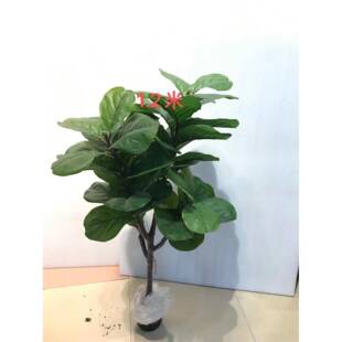 仿真琴叶榕仿真植物室内客厅办公室桌面落地装饰仿真盆栽绿植摆放