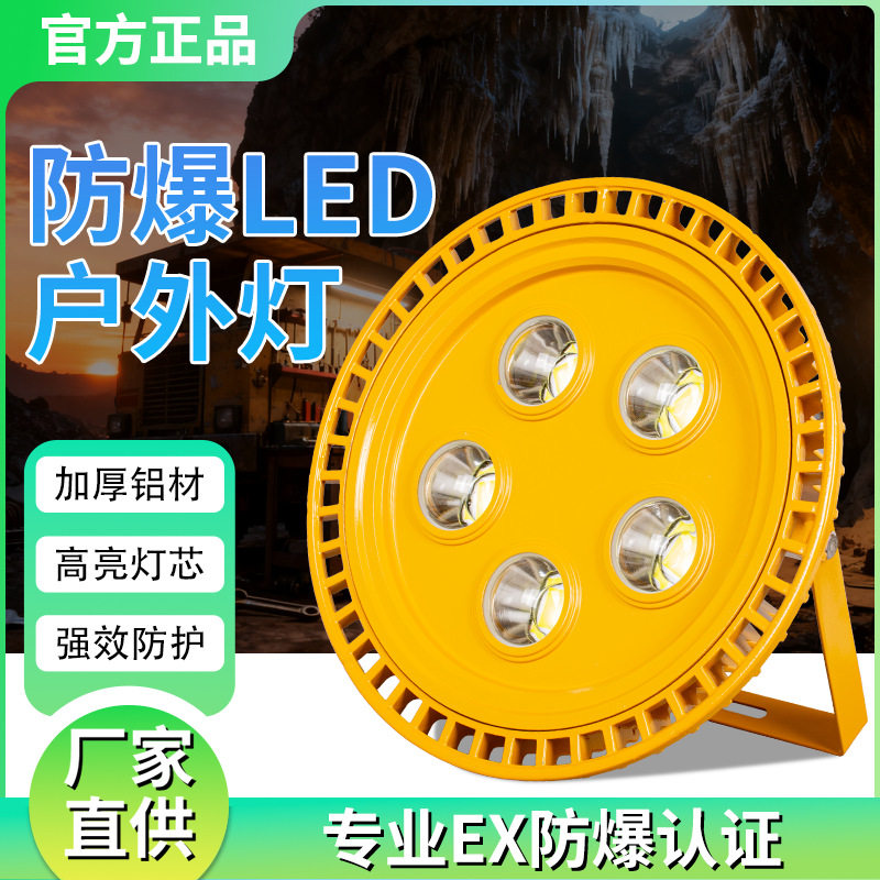 led防爆灯隧道灯低压12v24v36v加油站仓库厂房投光灯220v50w100w
