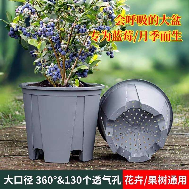 蓝莓大盆树脂加厚圆形透气青山控根盆月季花卉绿植呼吸种植盆