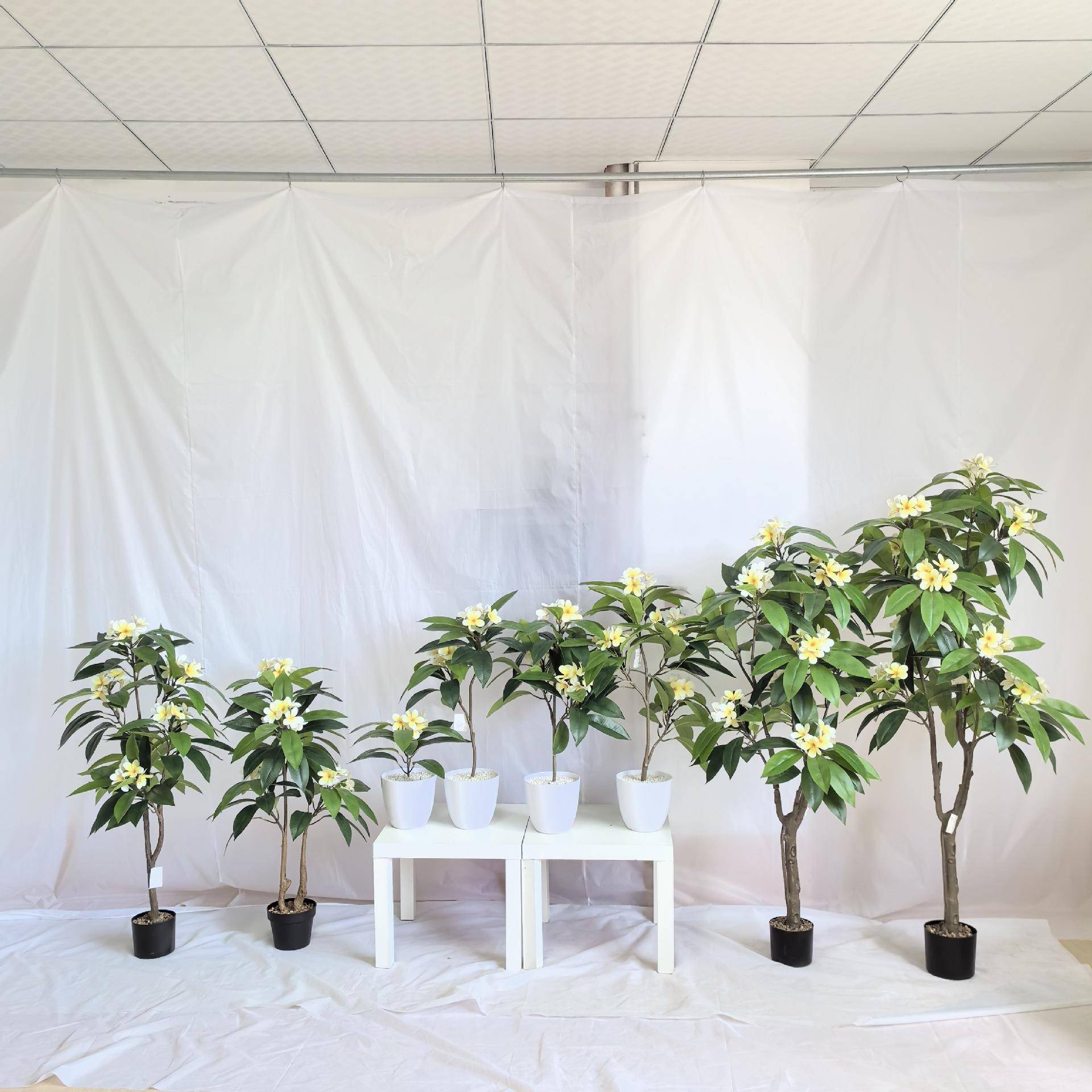 鸡蛋花植物配材假绿植墙装饰塑料植物草坪假花带叶胶片鸡蛋花