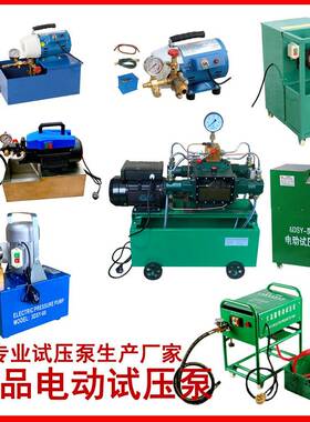 4DSY精品款电动试压泵自来水管道打压机压力泵测压检漏工具电压