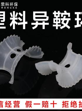 聚丙烯异鞍环填料废气塔pp异鞍环38mm50mm76mm塑料异鞍环填料