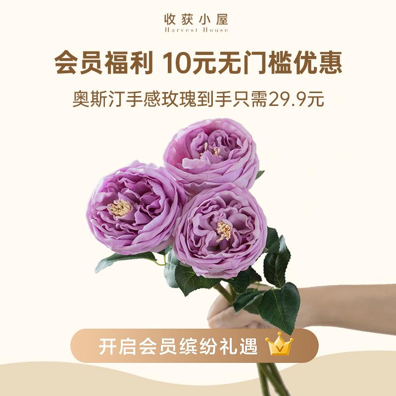 【会员专享】仿真花手感保湿束把玫瑰花体验装 加入会员立减10元