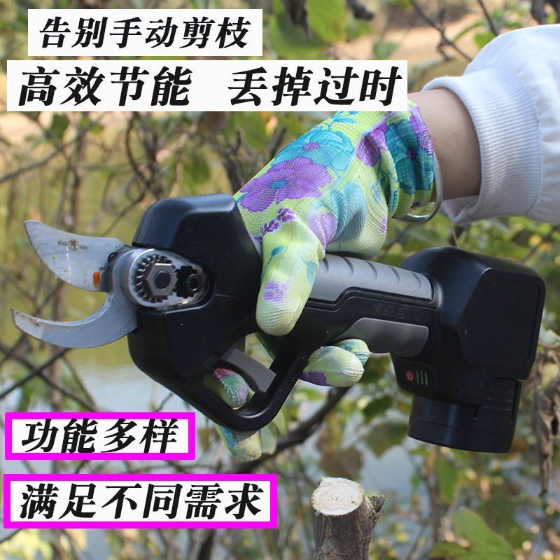 电动修枝剪刀果树剪树枝剪锂电充电式剪子园林粗枝剪园艺剪花枝剪图片