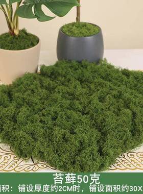 仿真毛线绿色假苔藓造影青苔绿植微景装饰铺面人造草坪石头草皮