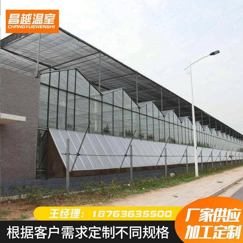 智能玻璃温室大棚连栋温室大棚农业水果蓝莓种植花卉养殖大棚