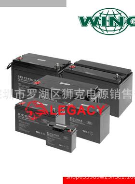 德国WING电池ES120-12、12V120AH机器人仪器、船舶绿色能源
