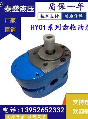 HY01-8*1525*2518*2512*203*5*10机磨床70100*25齿轮油泵CBJ