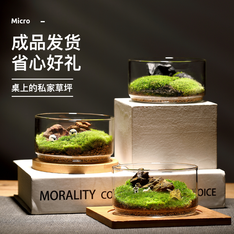 苔藓生态瓶闷养微景观系列种好发货桌面好养创意微缩苔藓摆件盆景