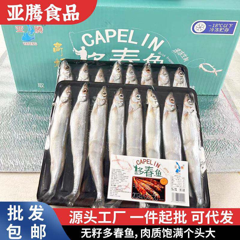 号满籽多春鱼现货冰多春1鱼鲜海水产新鲜冷冻海鱼鲜多籽108鱼多春