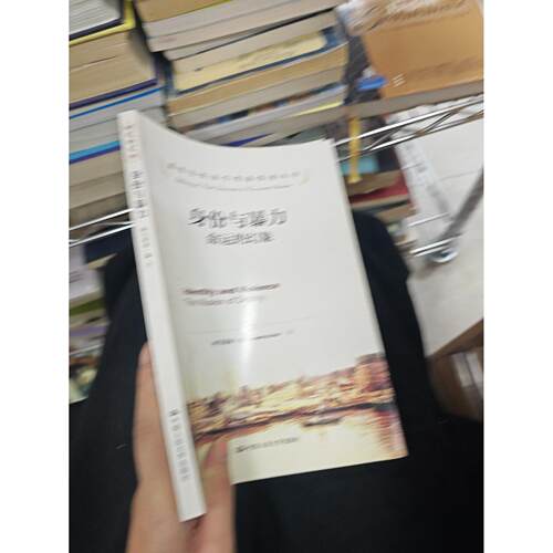 正版二手实拍身份与暴力[印]阿马蒂亚·森（Amartya Sen）  著；李风华、陈昌升、袁德良  译9787300169507中国人民大学出版社