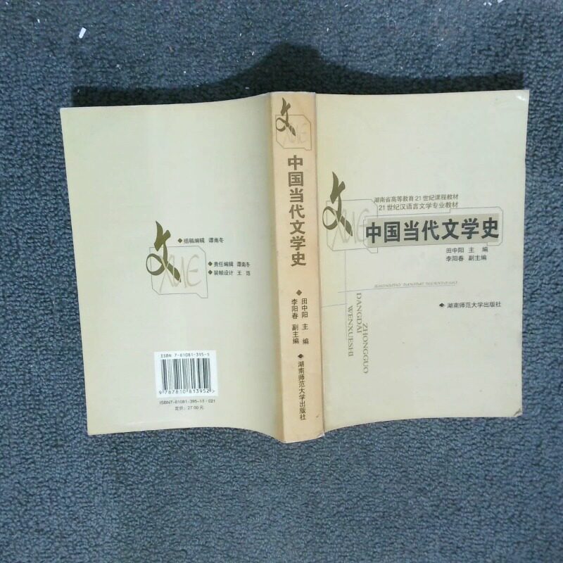 正版二手实拍中国当代文学史田中阳9787810813952湖南师范大学出版社图片
