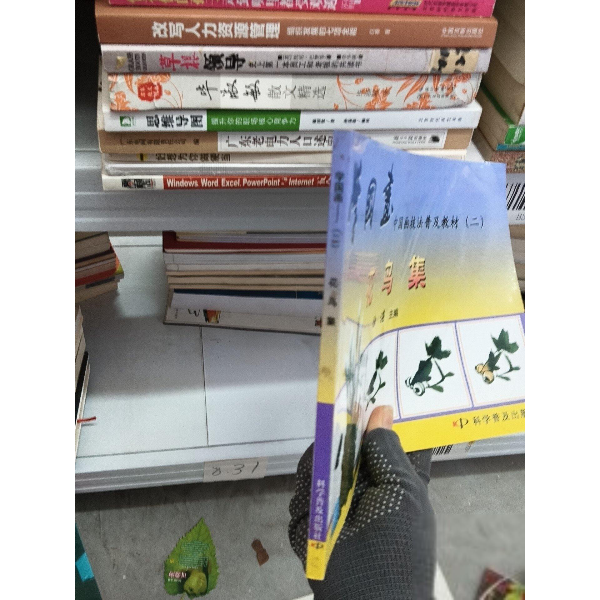 正版二手实拍中国画技法普及教材（二）-学国画 花鸟集徐湛  编9787110023945科学普及出版社
