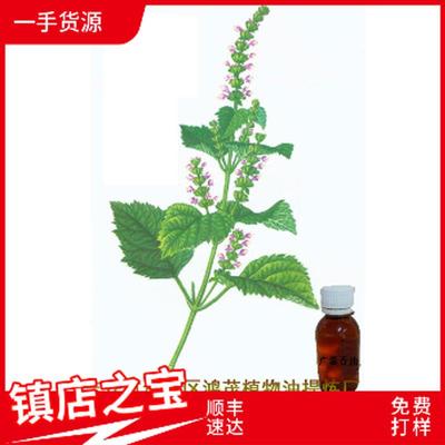 广藿香油Patchouli藿香油十滴水正气水暖脐贴按摩油肚脐贴原料