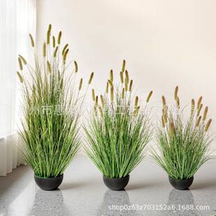 仿真盆栽带盆狗尾巴草绿色装饰绿植盆栽人造花卉盆栽龙须草假盆栽