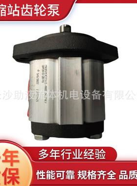 环卫泵垃圾压缩站齿轮泵GHP2A-D-20-FG马祖奇MARZOCCHI农业机械齿