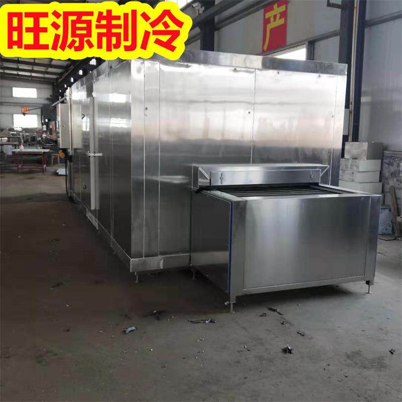 速冻饺子加工成套加工流水线速冻果蔬蓝莓用流态化单冻机旺源