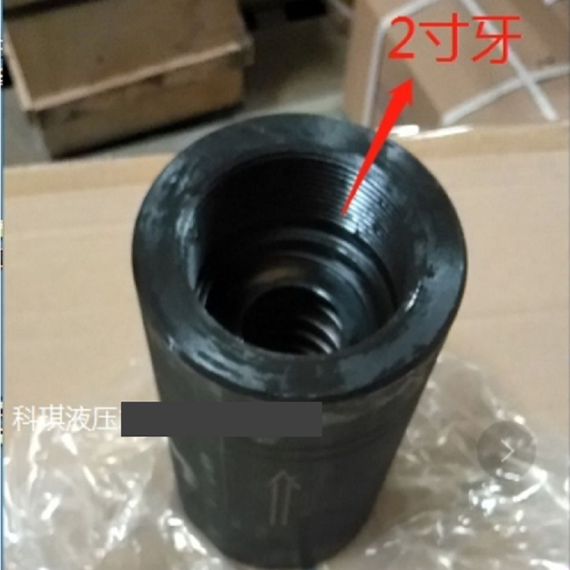 液压大通径管式单向阀大通径直通单向阀单向阀保压阀