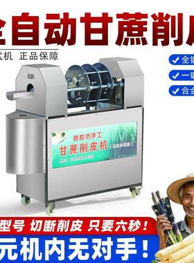 甘蔗削皮全自动商用一段体机去皮电动摆切TYI多功能新摊款器摆地