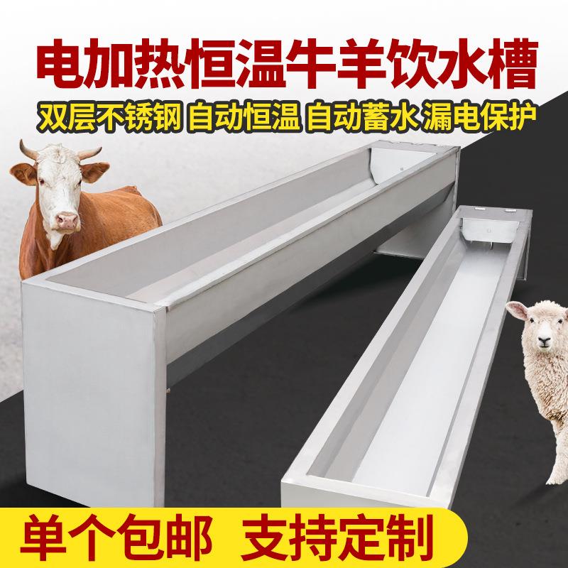 电加热恒温牛羊饮水槽不锈钢牛羊马驴用自动饮水器温水槽喂水神器