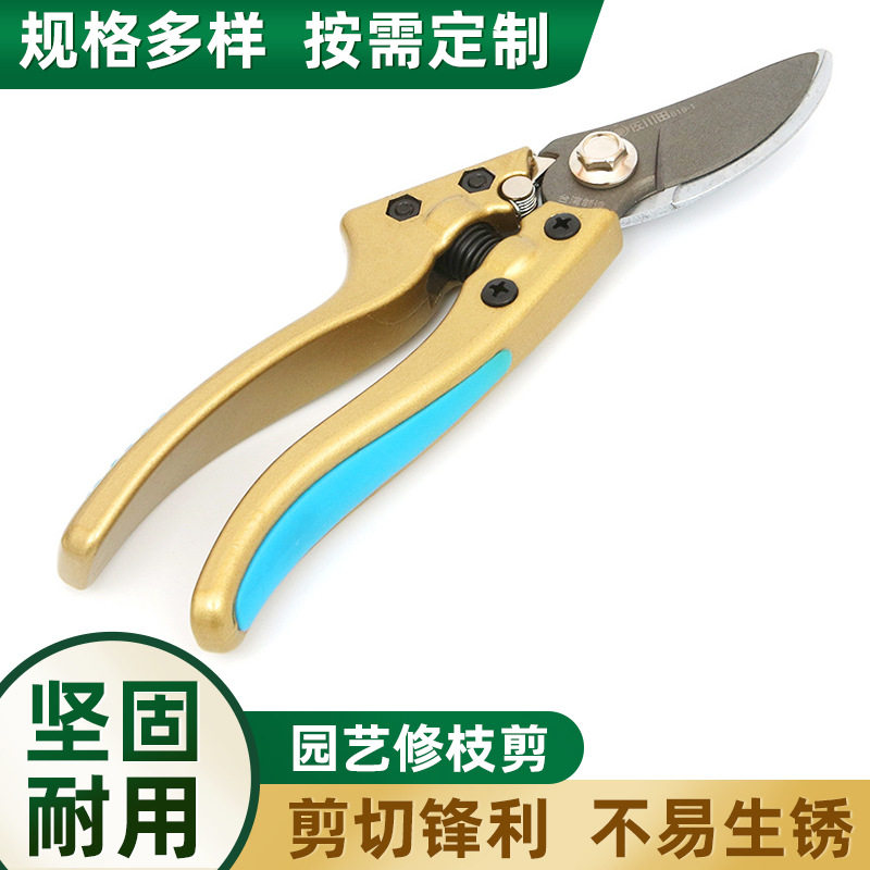 剪枝剪刀园林花艺修剪树枝剪刀果树剪刀粗大花剪进口德国钢枝条