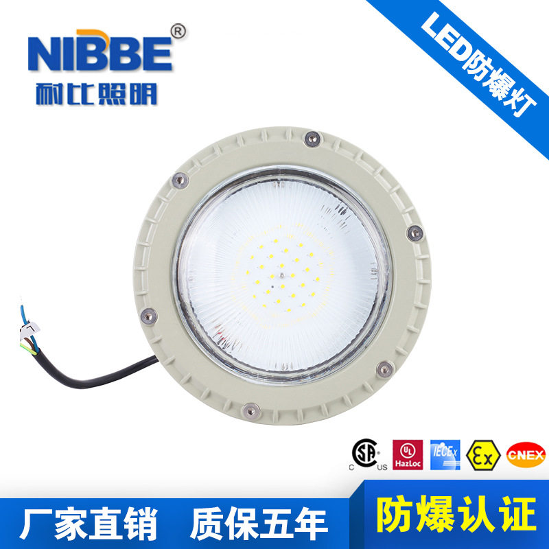 化工厂防爆灯免维护LEDLED户外高杆灯泛光灯仓库防爆平台灯IP67