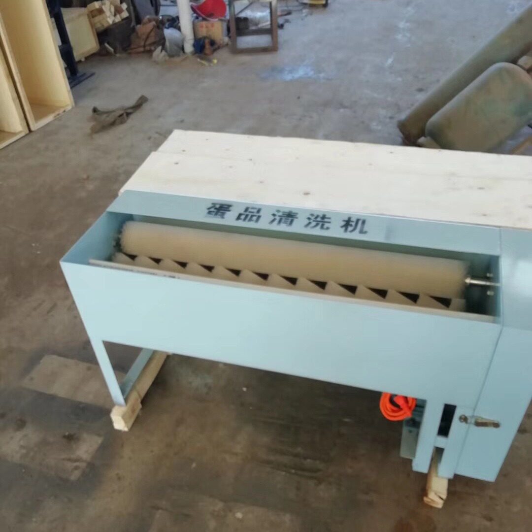 全自动小型商用洗蛋机尼龙毛刷辊麻酱鸡蛋泥蛋腌咸鸭蛋品清洗机器
