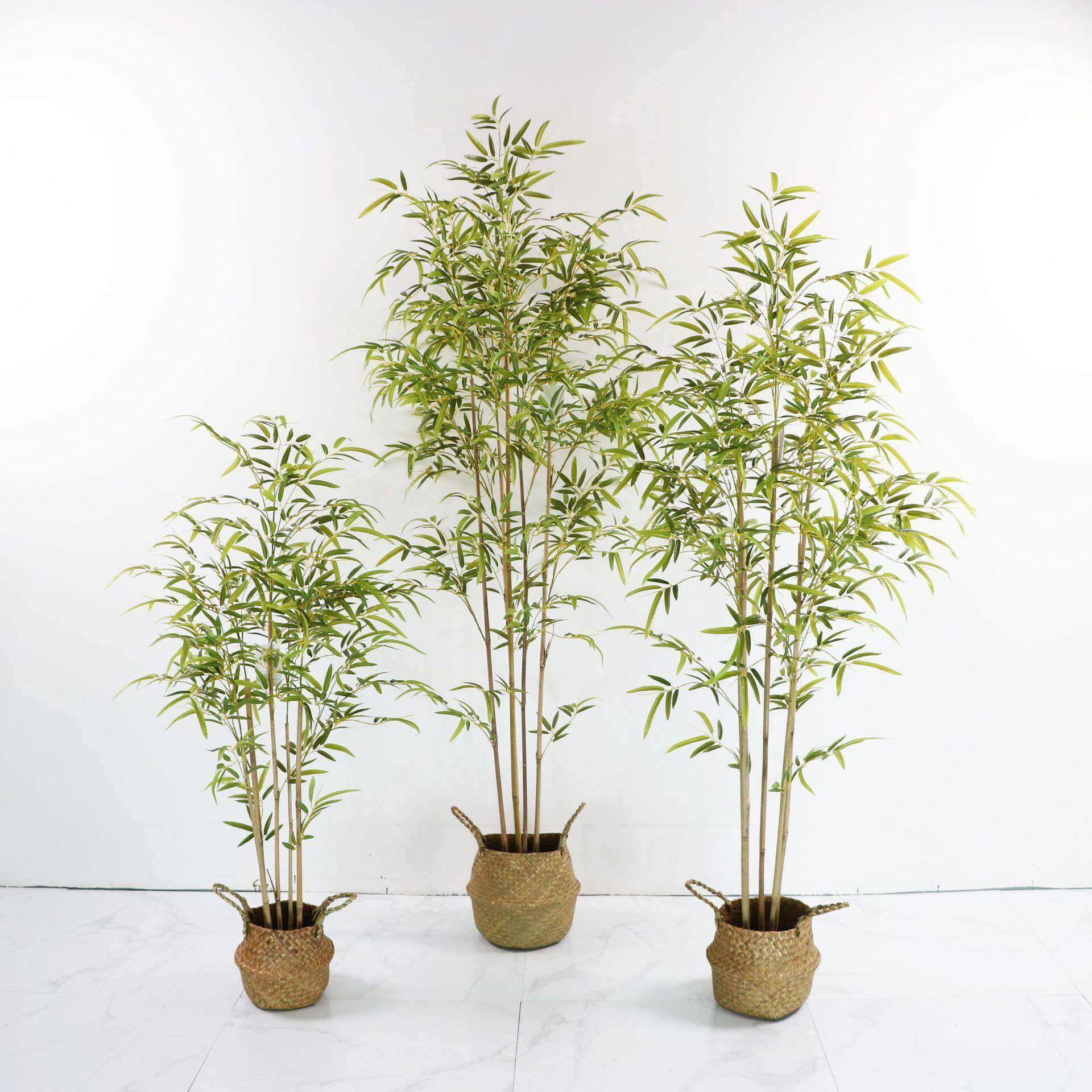 仿真竹子假竹子细水竹毛竹室内装饰绿植盆景盆栽造景植物手感竹叶