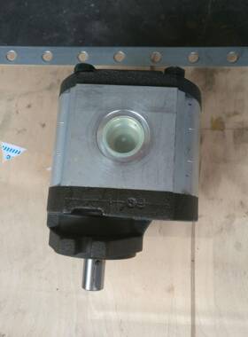 意大利RONZIO罗茨02ZAG20C035D（排量20）高压齿轮泵液压马达