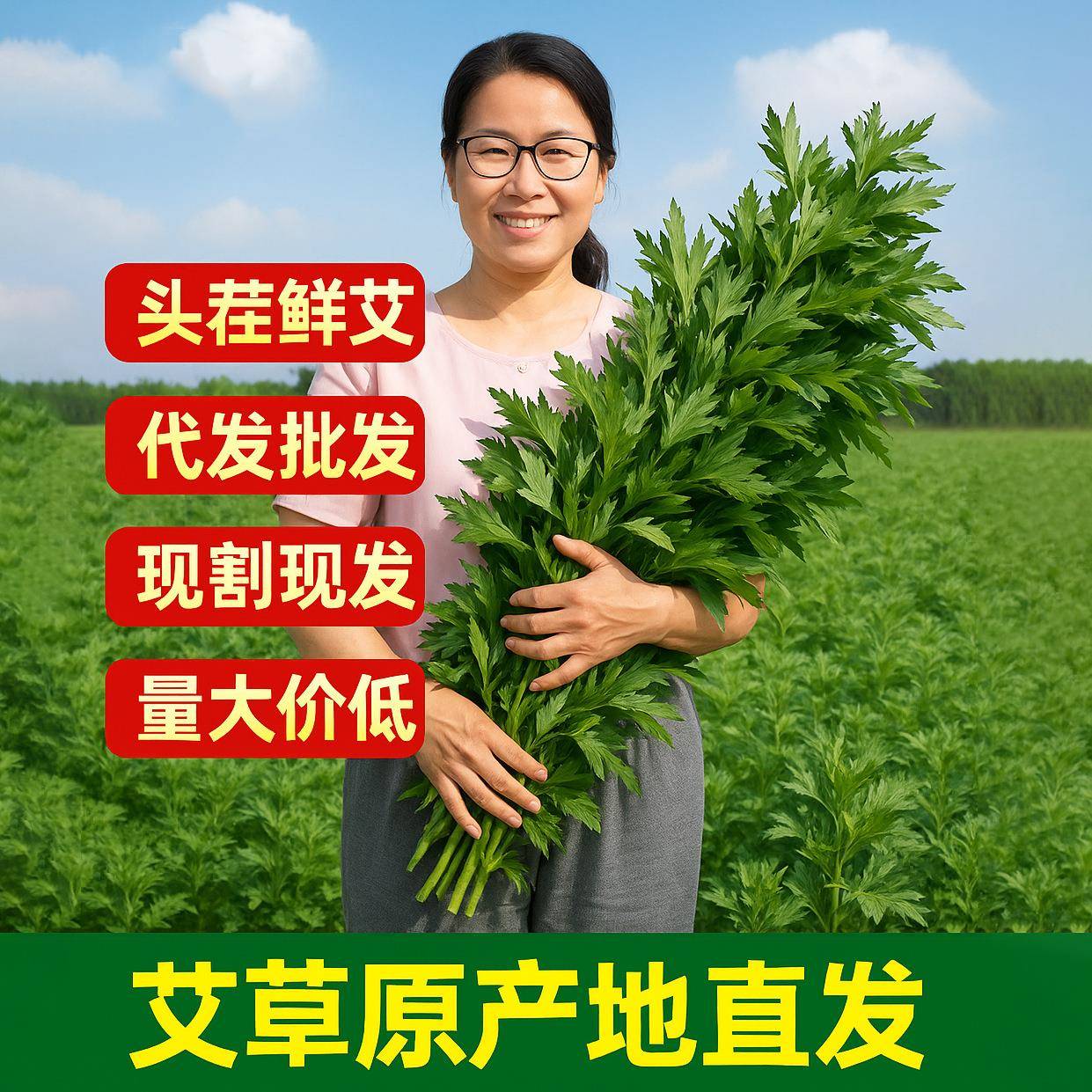 端午节新鲜艾叶整颗艾草束窗艾蒿花束环材料包挂饰手工门家用