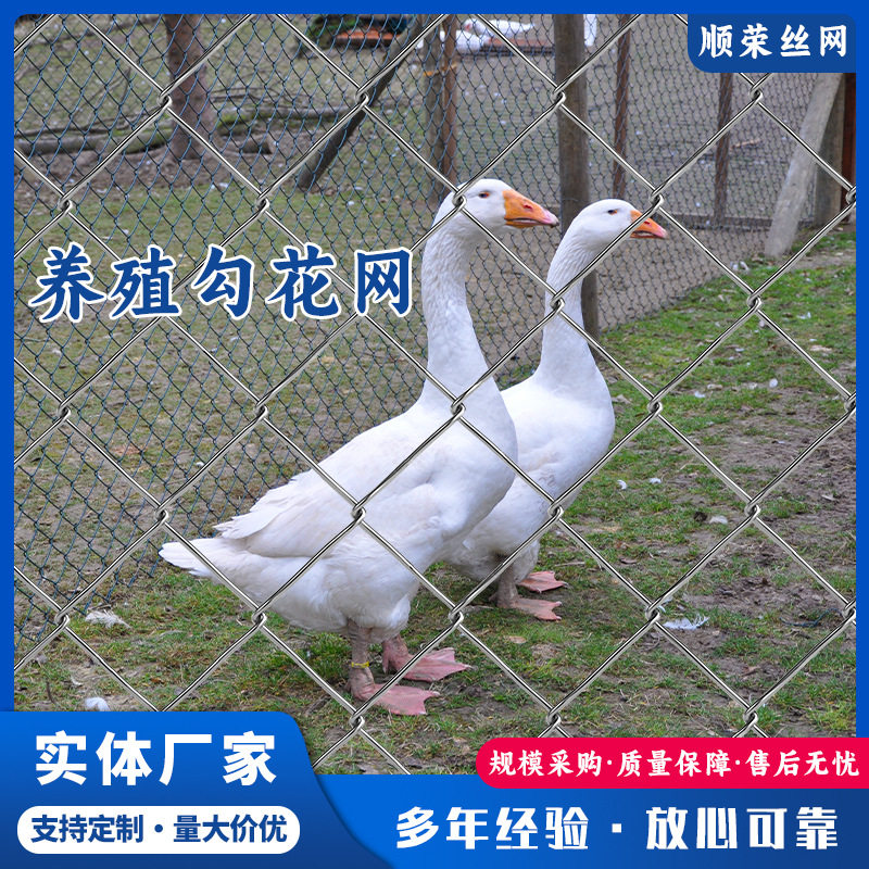 煤矿镀锌铁丝网养殖牛羊钢丝网边坡绿化喷浆护坡勾花网支护菱形网