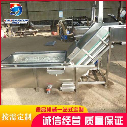 蔬果清洗流水线连续式水果清洗机喷淋式火龙果清洗机