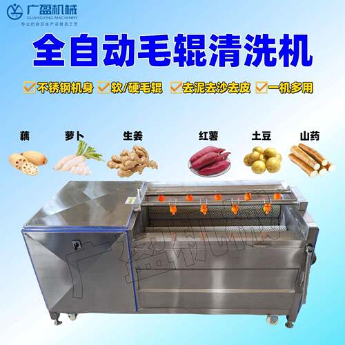 多功能商用清洗机凤梨土豆红薯蔬菜洗菜机不锈钢毛辊清洗机