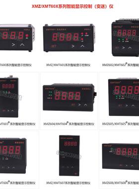 XMT600BXMT601BXMT602BXMT603BXMT604B智能显示控制(变送)