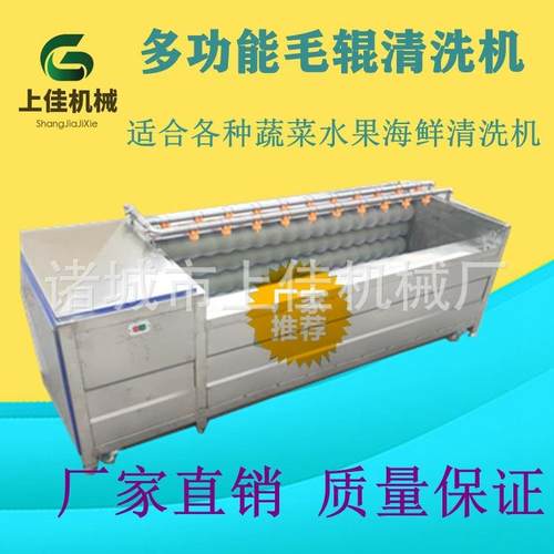 枇杷叶毛刷清洗机鲜粽叶去毛清洗机粽叶清洗机大型毛刷清洗机商用