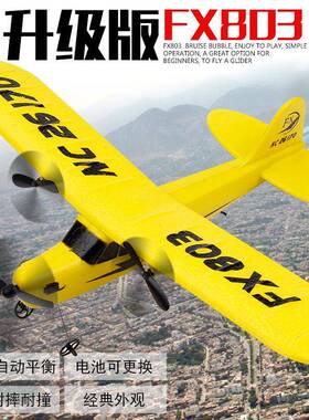 飞熊FX803遥控滑翔机固定翼EPP泡沫遥控飞机儿童户外航模玩具飞机