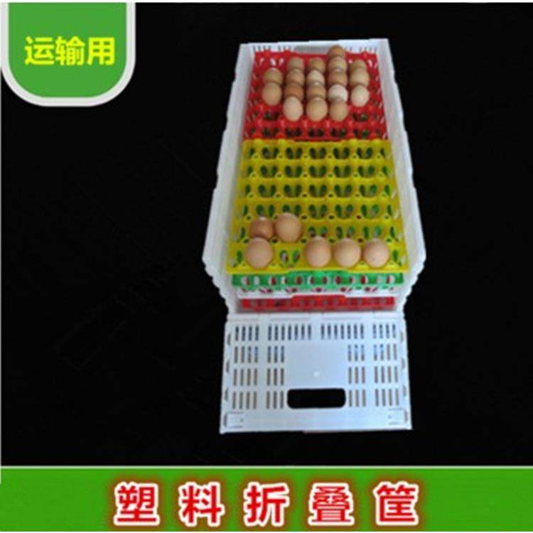 塑料欧式鸡蛋折叠箱周转箱鸡蛋箱鸡蛋鸭蛋鹅蛋运输筐塑料折叠筐,纺织面料/辅料/配套,纺织机械配件,淘宝优惠券,粉丝福利购,淘宝优惠卷