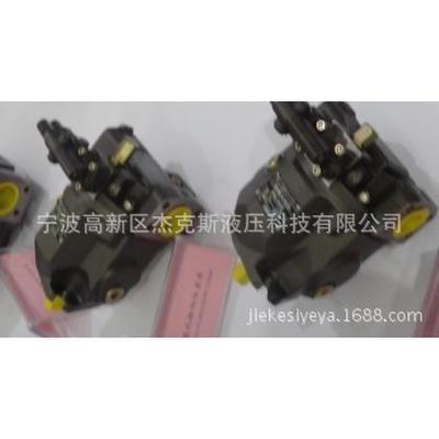 A10VSO18DFLR/31R-PPA12N00