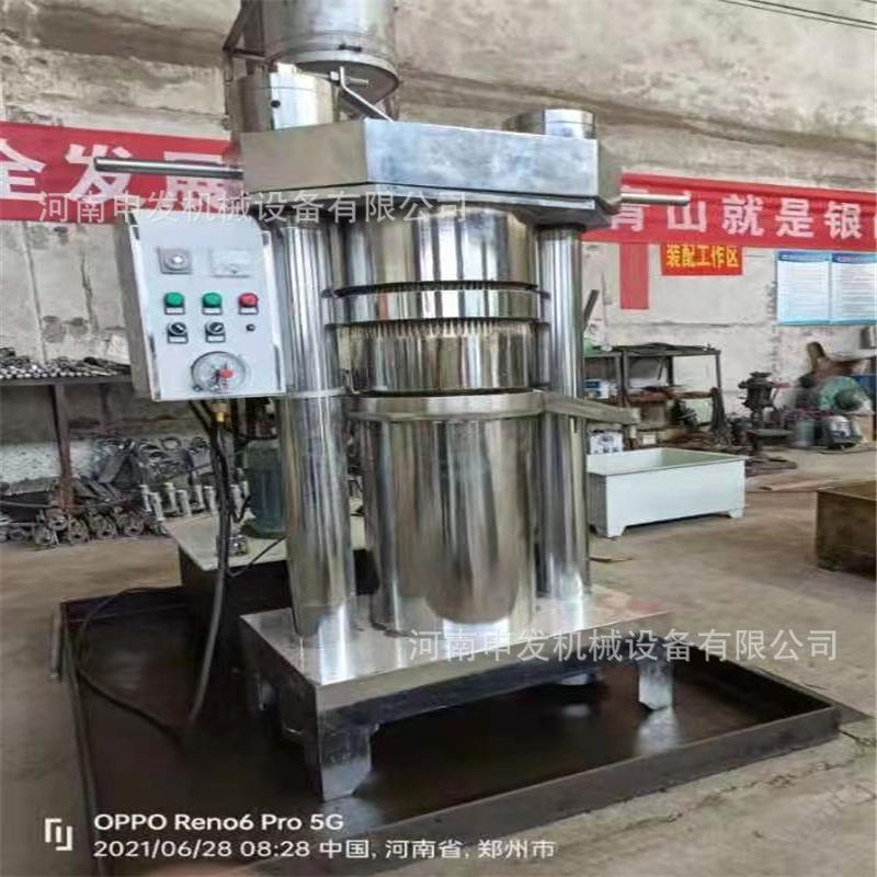 家用茶籽榨油机冷榨工艺山茶籽压油机230小型液压芝麻香油机