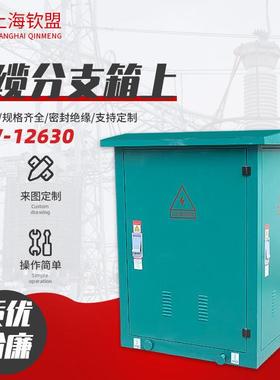 电缆分支箱上_FW-12630电缆分接箱高压电缆分支箱_电缆分接箱