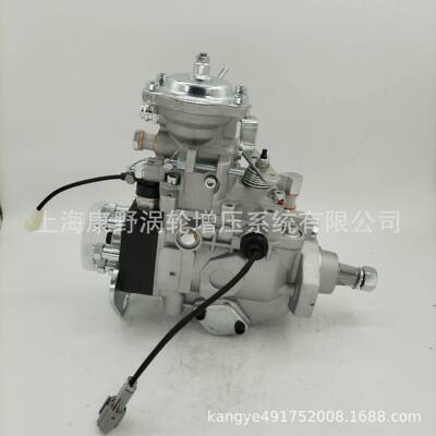 喷油泵22100-17A70196000-6070和22100-54840和22100-17320