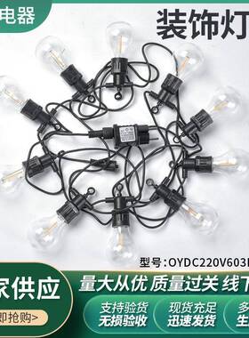 供应灯丝灯串连接户外室内节日装饰灯串LED照明彩灯串灯