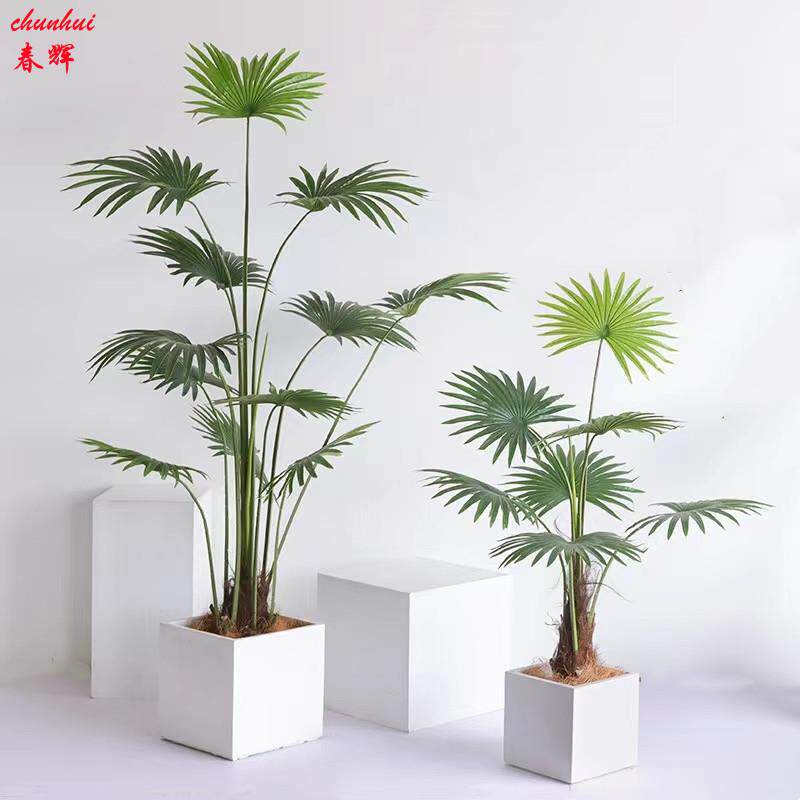 仿真蒲葵树盆栽人造扇葵树老人葵网红假绿植盆景客厅大型落地摆件