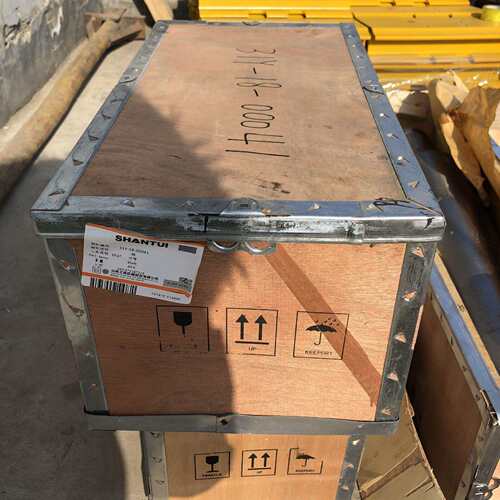 山推SD42推土机配件终端：31Y-18-00041太阳轮组件