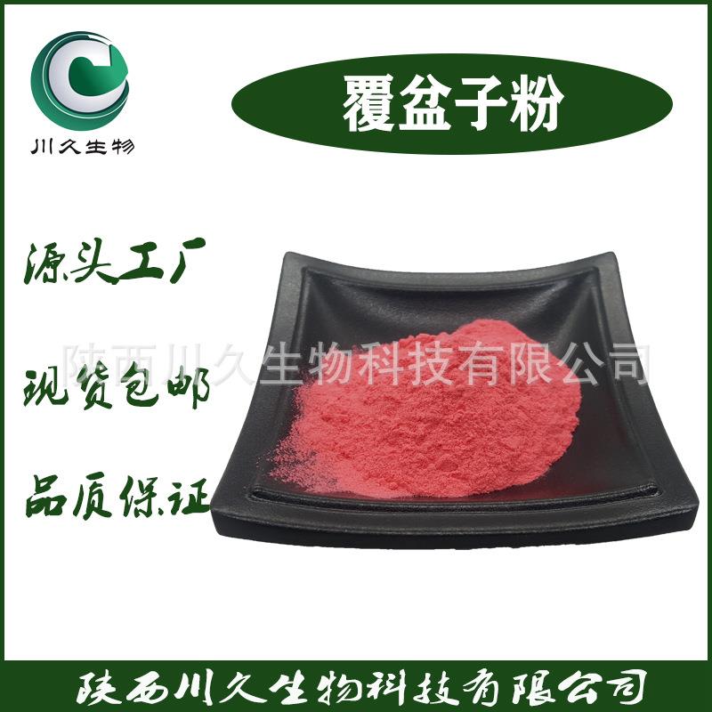 现货覆盆子果粉川久生物多规格供应树莓粉覆盆子浓缩汁