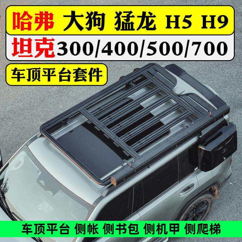 适用于哈弗大狗猛龙H5H9车顶平台套件坦克爬梯行李架改装件