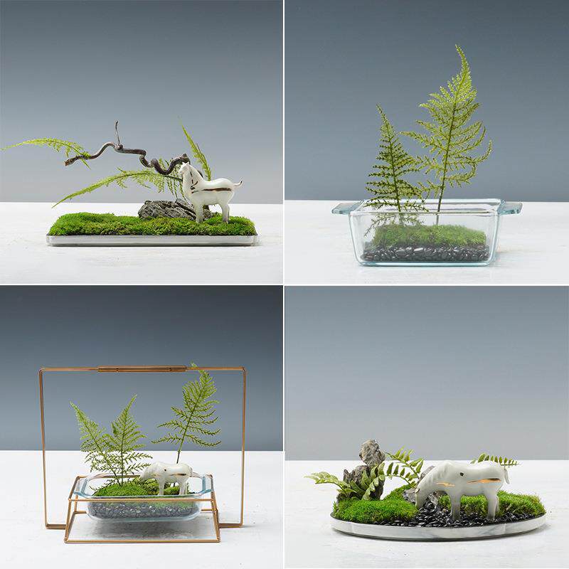 现代新中式仿真文竹绿植苔藓盆景摆件桌面样板房仿真花花艺装饰品