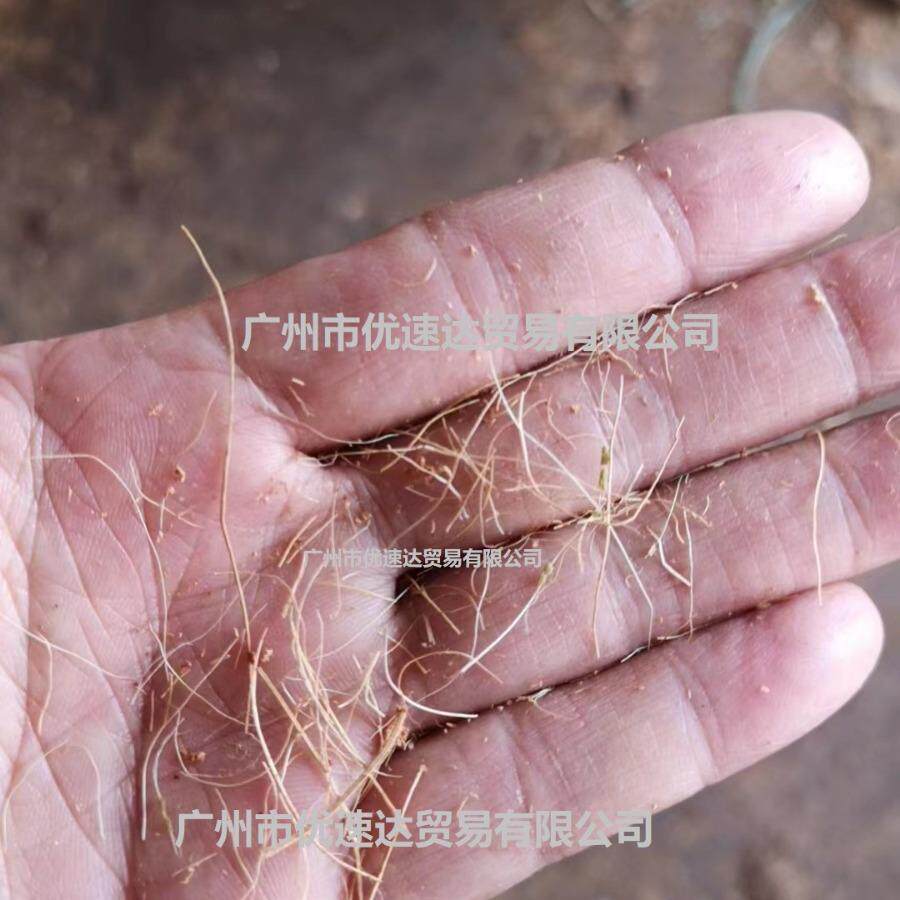 砂浆混凝土外墙拉筋纤维丝建筑用短切丝椰棕植物短纤维
