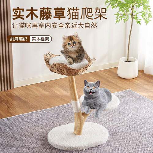 藤编猫窝天然果木猫爬树实木猫爬架实木树干猫窝一体式猫抓柱
