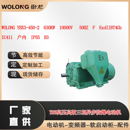 WOLONG YBX3-450-2  630KW  10000V   50HZ  BT4高压防爆电机